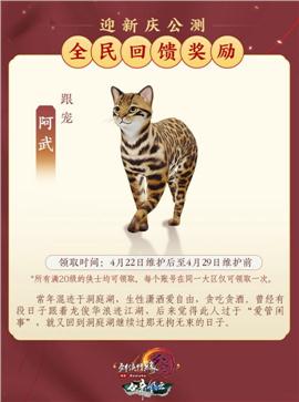 暗黑血统天龙八部私服